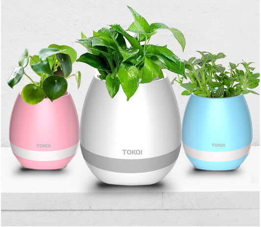 Touch-sensitive music vase desktop audio